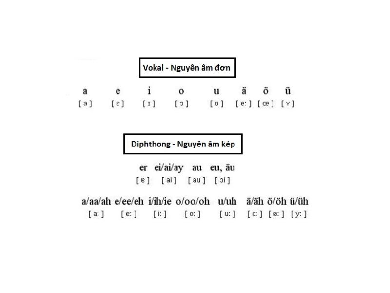 Nguyên âm của tiếng Đức có nét tương đồng với tiếng Anh